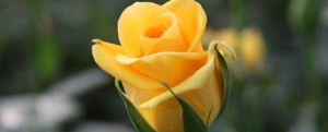 IMG_9684_web